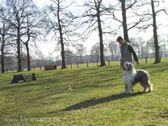 Birgit und Arrows