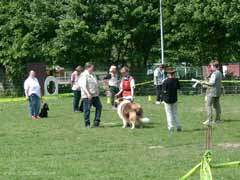 Stehen und Betasten