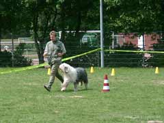 Birgit und Arrows